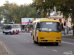 Сколько в Одессе маршруток и автобусов (ИНФОГРАФИКА)