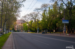 Массовые акции в Одессе изменили движение городского транспорта (ФОТО)