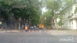 В центре Одессы упавшее дерево остановило движение троллейбусов (ФОТО)