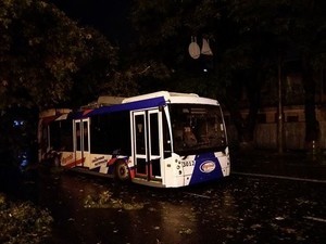 Ночью в Одессе на троллейбус упало дерево (ФОТО)
