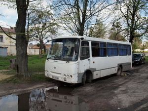 Львовская мэрия хочет купить два десятка маленьких автобусов