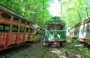 В США имеется заросшее лесом кладбище старых трамваев (ФОТО)