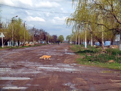 В Одесской области некоторые дороги похожи на танкодром (ФОТО)