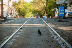В Одессе продолжается реконструкция линии трамвая на Преображенской (ФОТО)