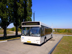В Кропивницком начали перевозить пассажиров первые новые муниципальные автобусы