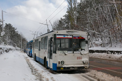 Фото дня: горную трассу троллейбуса в оккупированном Крыму завалило снегом
