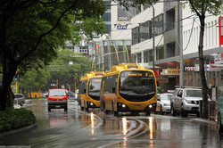 В столице Новой Зеландии закрыли движение троллейбусов