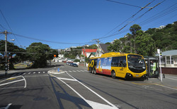 В столице Новой Зеландии закрыли движение троллейбусов