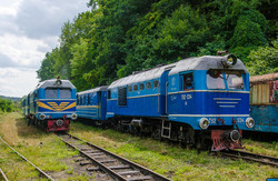 На уникальной узкоколейке в Закарпатье может прекратиться движение поездов