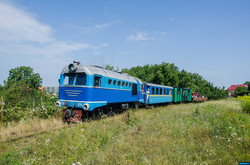 На уникальной узкоколейке в Закарпатье может прекратиться движение поездов