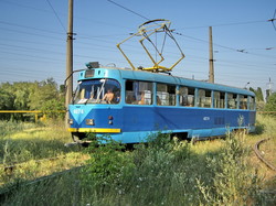 Фото дня: одесские трамваи в буйстве летней зелени