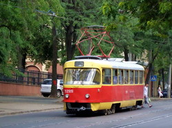 Фото дня: одесские трамваи в буйстве летней зелени