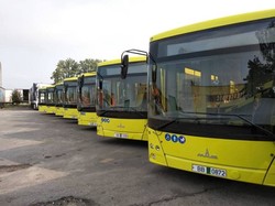 Во Львов привезли первые белорусские автобусы (ФОТО)