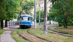 Фото дня: как одесские трамваи едут на Фонтан через заросли