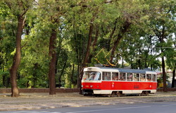 Фото дня: как одесские трамваи едут на Фонтан через заросли