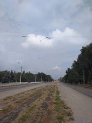 Трамвай в Луганске продолжают грабить