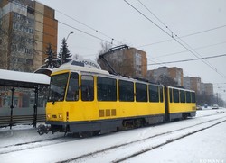 Как в 2018 году обновлялся общественный транспорт Львова