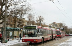Ивано-Франковскому троллейбусу – 35 лет!
