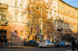 Когда в Одессе троллейбусы вернутся на улицу Ришельевскую (ФОТО)