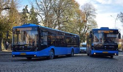 Сколько и каких автобусов произвели и купили в Украине в 2018 году