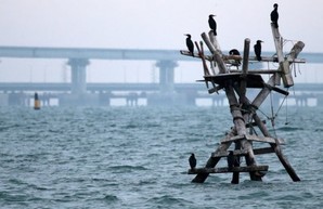 Омелян: блокада Азовского моря обошлась Украине в 10 миллиардов гривен