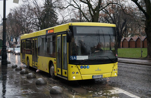 Во Львове требуют ежедневного отчета о работе общественного транспорта