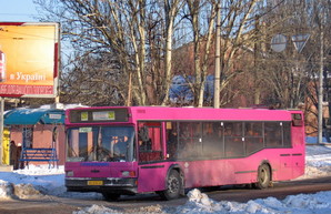 Как будут ходить одесские автобусы для пассажиров с ограниченными возможностями в марте