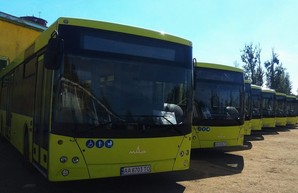 Во Львове еще на один автобусный маршрут выехали большие автобусы
