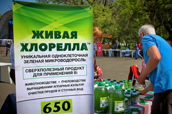 Электробус и "Тесла" стали главными точками притяжения на первом Одесском экофестивале (ФОТО, ВИДЕО)