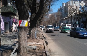 В Одессе на ремонт пешеходной инфраструктуры планируют потратить более 20 миллионов гривен