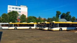 Как выглядят новые автобусы для Мариуполя (ФОТО)
