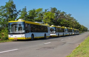 В Мариуполь прибыли первые пять автобусов, купленные за средства Международной финансовой корпорации