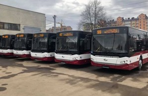 Частные перевозчики не хотят покупать новые автобусы