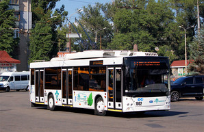 В Запорожье рассказали о троллейбусах, которые запустят на маршрут до острова Хортица