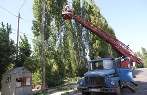 Основные работы по строительству троллейбусной линии в николаевский микрорайон Намыв закончат в ноябре