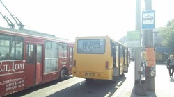 В Тернополе открыли троллейбусную линию к автовокзалу, однако водители маршруток мешают нормальной работе троллейбусов
