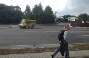 Во Львове водители трамваев жалуются на пешеходов, которые ходят по выделенным трамвайным путям