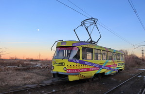 В Одессе упавшее дерево приостановило работу «камышового» трамвая