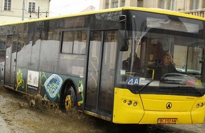 Львовские чиновники не знают, сколько у коммунального предприятия автобусов ЛАЗ