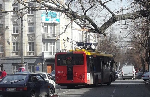 Из-за упавших деревьев в Одессе остановились трамваи и троллейбусы