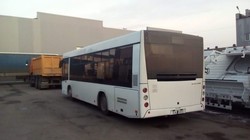 Тернополь закупил еще 20 новых автобусов МАЗ
