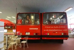 В Братиславе из кузовов старых автобусов «Ikarus» создали модное кафе