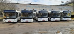 Первая партия автобусов МАЗ 206086 уже прибыла в троллейбусное депо Тернополя