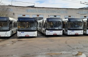 Первая партия автобусов МАЗ 206086 уже прибыла в троллейбусное депо Тернополя