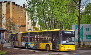 "МАЗ" или "Богдан": во Львове возникли проблемы с подведением итогов закупки 100 автобусов по кредиту ЕИБ