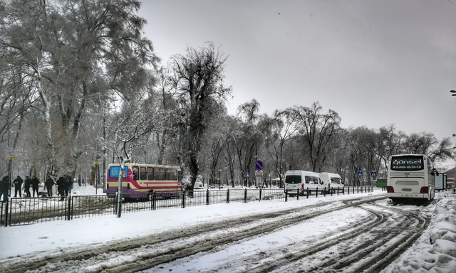 В Одессе закрыто междугороднее автобусное сообщение