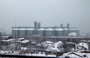 Порты Одесской области лидируют в обработке грузов в январе