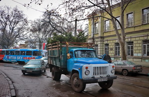 В Одессе попробуют запретить въезд грузовиков в центр города