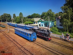 Ретро-поезд под паровозом на узкоколейке в Гайвороне: возобновится ли движение по узкой колее (ВИДЕО)
