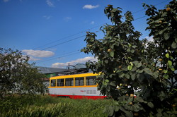 Засыпанные рельсы и лужи: в Одессе не ходит камышовый трамвай (ФОТО, ВИДЕО)